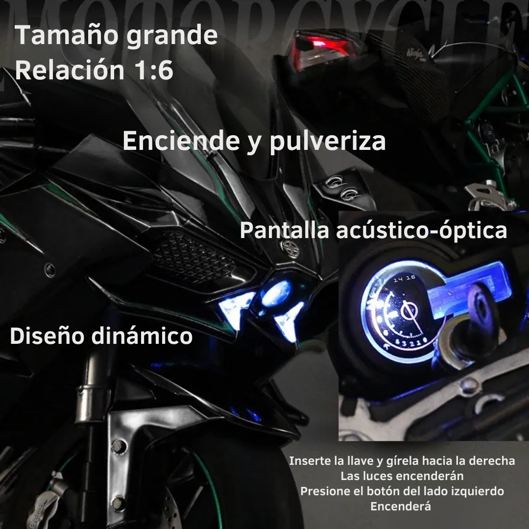 1:6 Ninja H2R Model